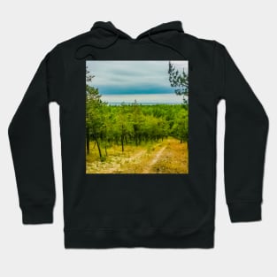 Landscape. Green forest, sea and blue sky. Clearing in the forest Hoodie